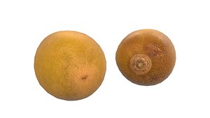 3D Kiwi Fruit AR VR Low-poly 3D Model model