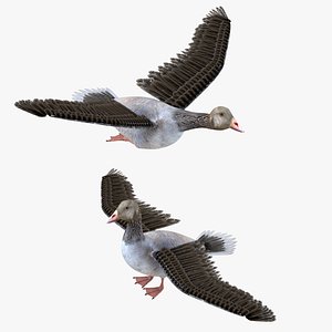 Goose Bird Rigged