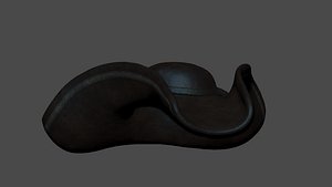 3D pirate hat - costume
