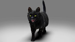 Fur Cat Black Rigged 3D model
