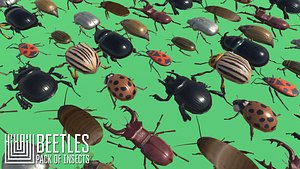 3D model vr beetles - pack