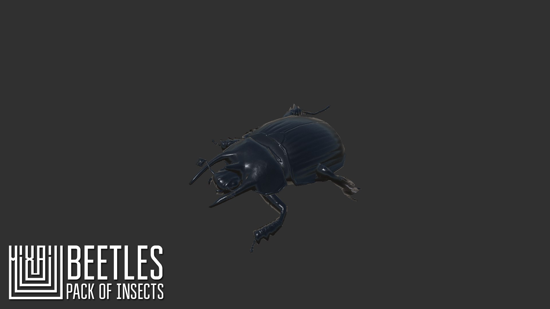 3D model vr beetles - pack https://p.turbosquid.com/ts-thumb/2i/Dr1EtS/xEVA7tWt/5/png/1560277117/1920x1080/fit_q87/b7e20674017cf2e70f77a444a0092182612fcd3c/5.jpg