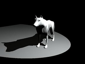 Wolf