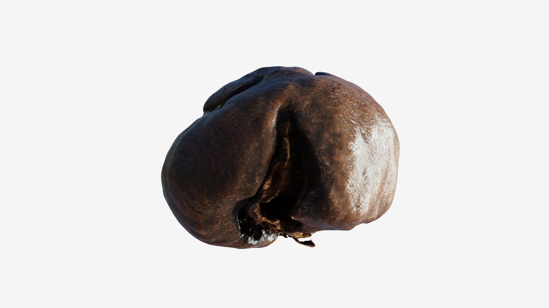 3D model Scanned roasted coffee bean https://p.turbosquid.com/ts-thumb/2i/T35Juk/1b/view_050001/jpg/1744317597/1920x1080/fit_q87/40364f55f704a566de0128fb0e5dceaa0d6cf7d7/view_050001.jpg