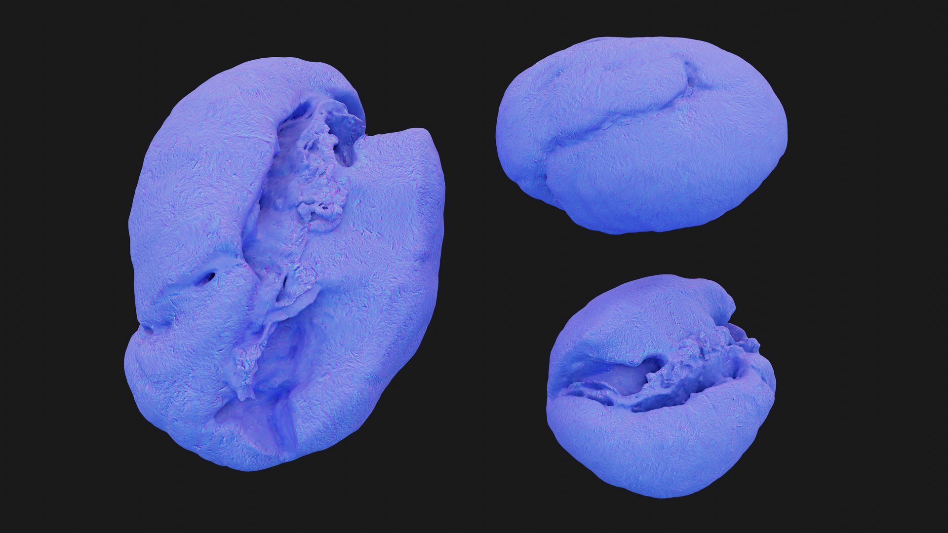 3D model Scanned roasted coffee bean https://p.turbosquid.com/ts-thumb/2i/T35Juk/48/view_150001/jpg/1744317603/1920x1080/fit_q87/1402d433648439ab63844cb860e535c52ecb6977/view_150001.jpg