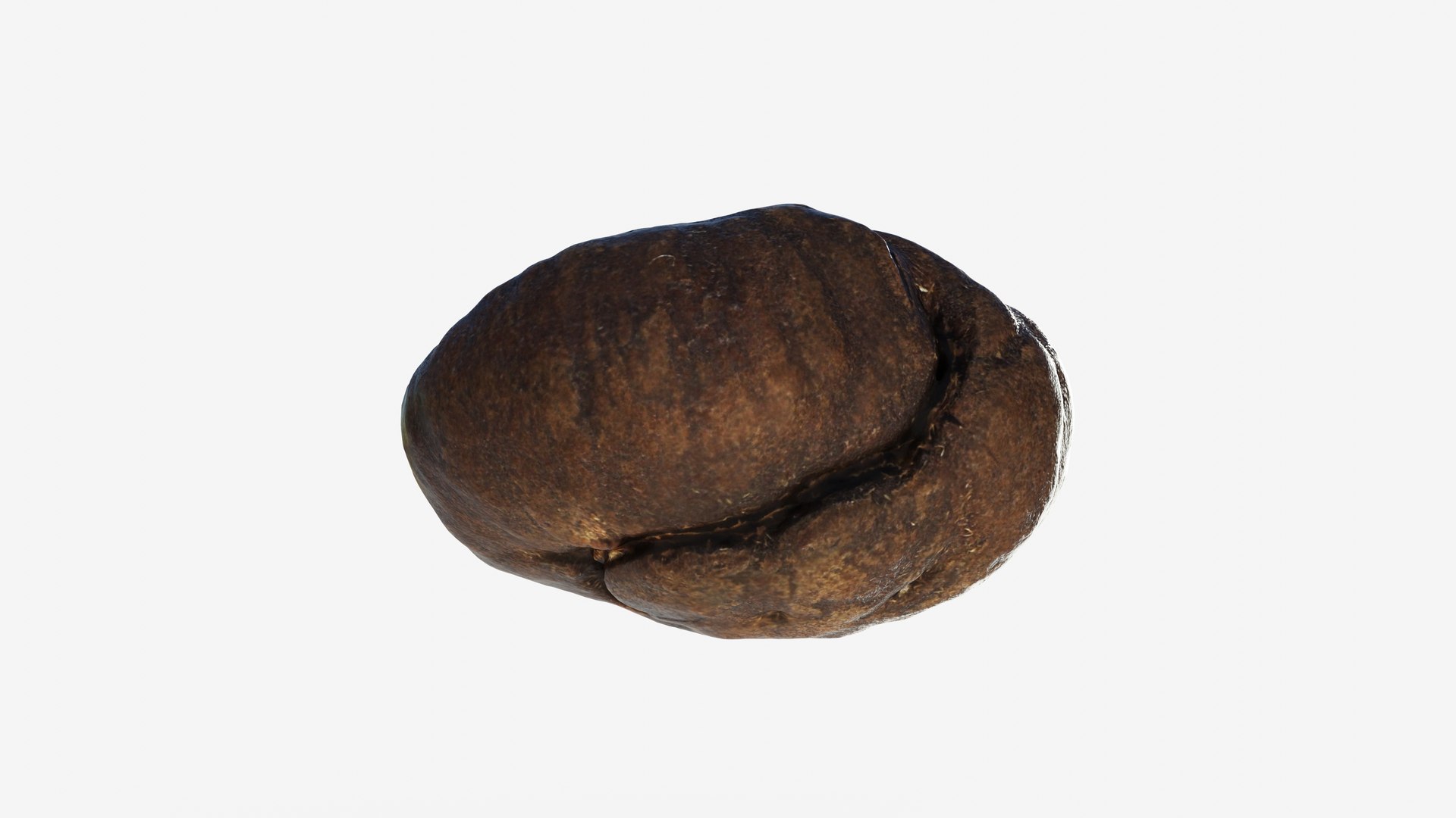 3D model Scanned roasted coffee bean https://p.turbosquid.com/ts-thumb/2i/T35Juk/Fu/view_010001/jpg/1744317595/1920x1080/fit_q87/037c1a2684b4043db3081309b6f61b3afd0c0c80/view_010001.jpg