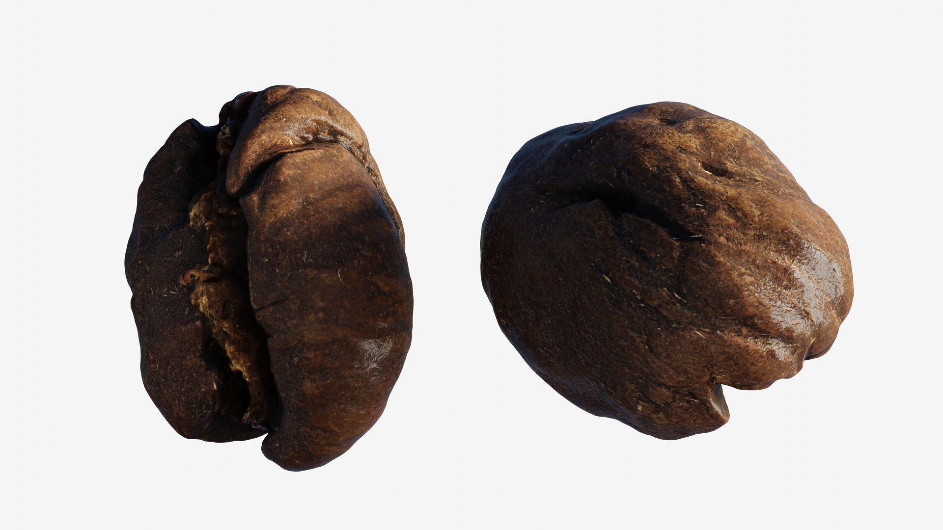 3D model Scanned roasted coffee bean https://p.turbosquid.com/ts-thumb/2i/T35Juk/hK/view_080001/jpg/1744317600/1920x1080/fit_q87/dcd12862bf189a277aab6a65f545bc914a85f513/view_080001.jpg