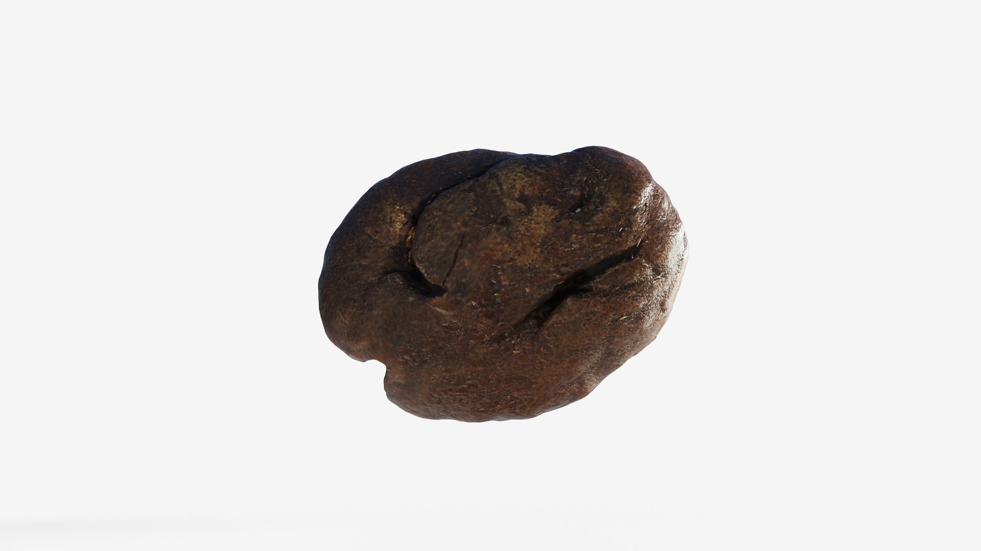 3D model Scanned roasted coffee bean https://p.turbosquid.com/ts-thumb/2i/T35Juk/xg/view_020001/jpg/1744317597/1920x1080/fit_q87/e6776ce0e530275b5939db52a659cb1f11f765e9/view_020001.jpg