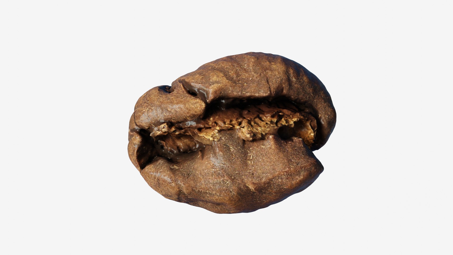3D model Scanned roasted coffee bean https://p.turbosquid.com/ts-thumb/2i/T35Juk/xh/view_070001/jpg/1744317599/1920x1080/fit_q87/e398db978a1c48df33f97024cfe12f25d3a52d63/view_070001.jpg