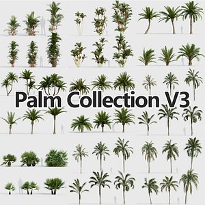 Palm Collection V3 3D model
