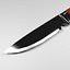 Polished Knife