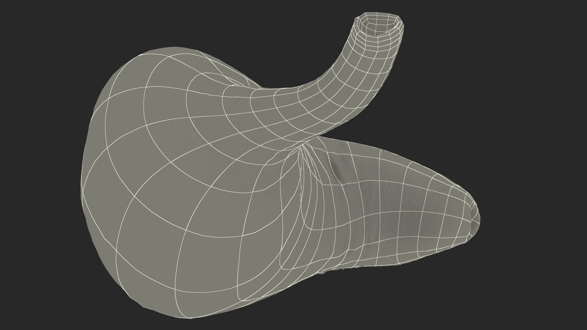 3D Human Organs Collection 2 https://p.turbosquid.com/ts-thumb/2j/3nbtCx/6Z/human_organs_collection_2_012/jpg/1744633872/1920x1080/fit_q87/1fd8774d589665ea99183a36f5b33789351b1192/human_organs_collection_2_012.jpg