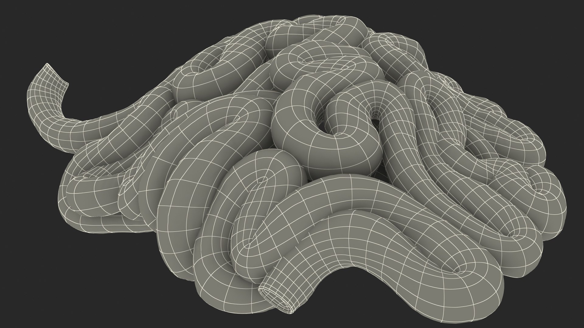 3D Human Organs Collection 2 https://p.turbosquid.com/ts-thumb/2j/3nbtCx/Tb/human_organs_collection_2_014/jpg/1744633875/1920x1080/fit_q87/c09fbe38f85569330e693dafe89cc9d2dd98bdb1/human_organs_collection_2_014.jpg