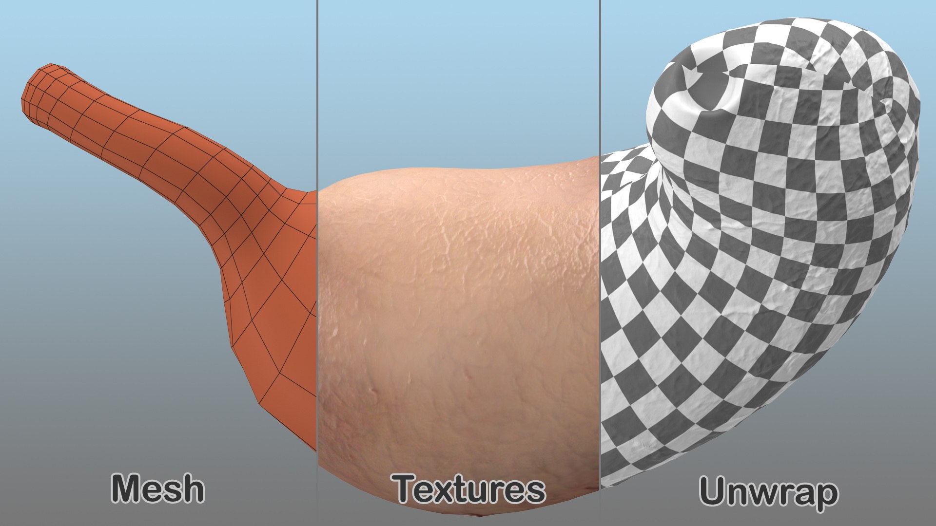 3D Human Organs Collection 2 https://p.turbosquid.com/ts-thumb/2j/3nbtCx/gy/human_organs_collection_2_010/jpg/1744633871/1920x1080/fit_q87/531ae4bdd57744f497b47526d292ab6534cdabc5/human_organs_collection_2_010.jpg