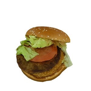 Game Ready Hamburger