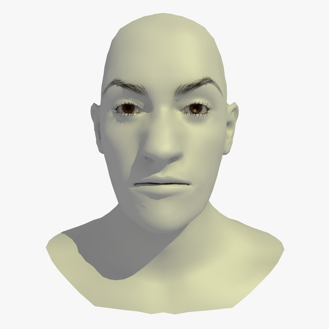 3d Model Of Realistic Head Base Mesh