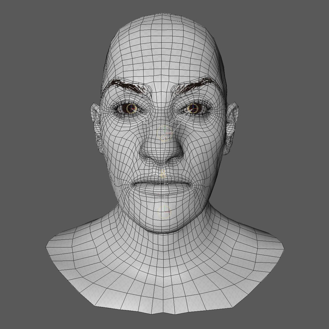 3d Model Of Realistic Head Base Mesh