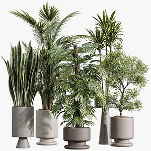 AV Indoor Plants Set 267 Areca Palm and Lemon and Green Sansevieria and Monstera Deliciosa Large Lea 3D
