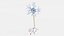 Neuron