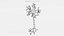 Neuron