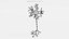 Neuron
