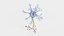Neuron