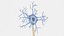 Neuron