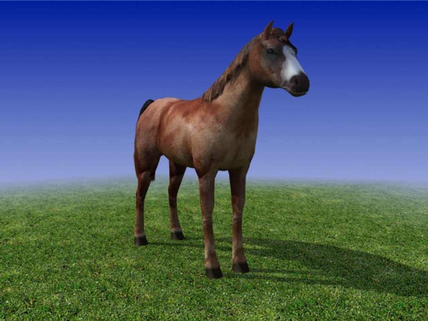3ds max horse https://p.turbosquid.com/ts-thumb/2j/Zz05dN/678dt9NF/sample_04/jpg/1193500639/1920x1080/fit_q87/743f194582fe34c13e2beb31c3441d91068db21f/sample_04.jpg