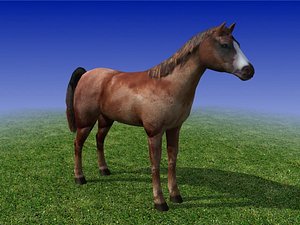 Brown Horse Low Poly 3D Model