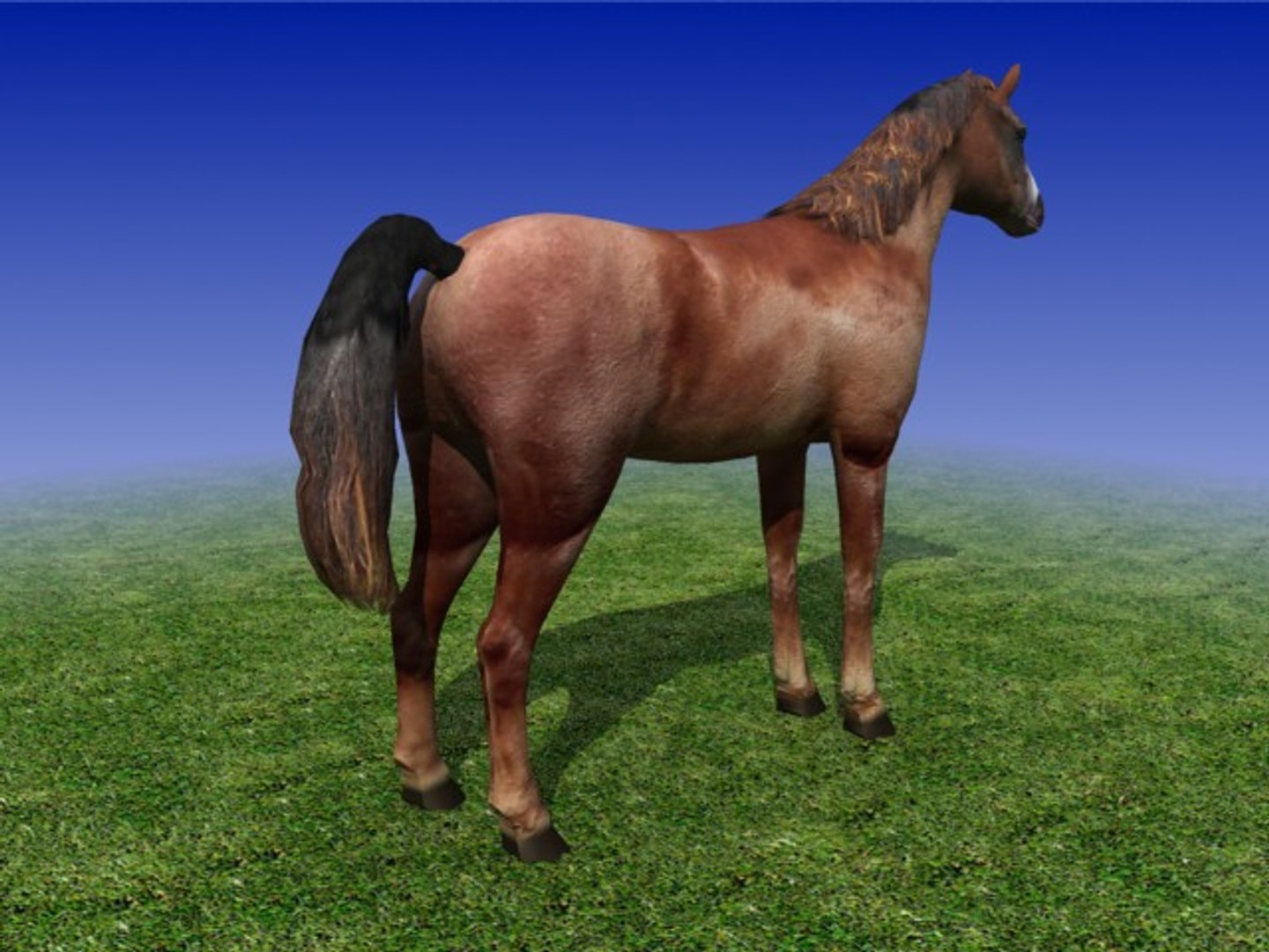 3ds max horse https://p.turbosquid.com/ts-thumb/2j/Zz05dN/xenfvGRh/sample_02/jpg/1193500614/1920x1080/fit_q87/c94ac11efd0d5e5dabd18620009cfe2fd7f13e9e/sample_02.jpg