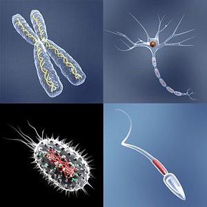 Detail Micro Cells_max_collection