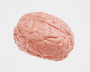 3D Brain