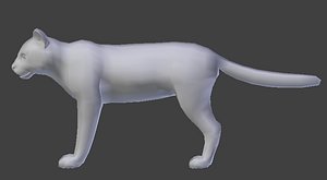 Wildcat Base Model