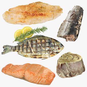 Fish Steak Collection 3D model