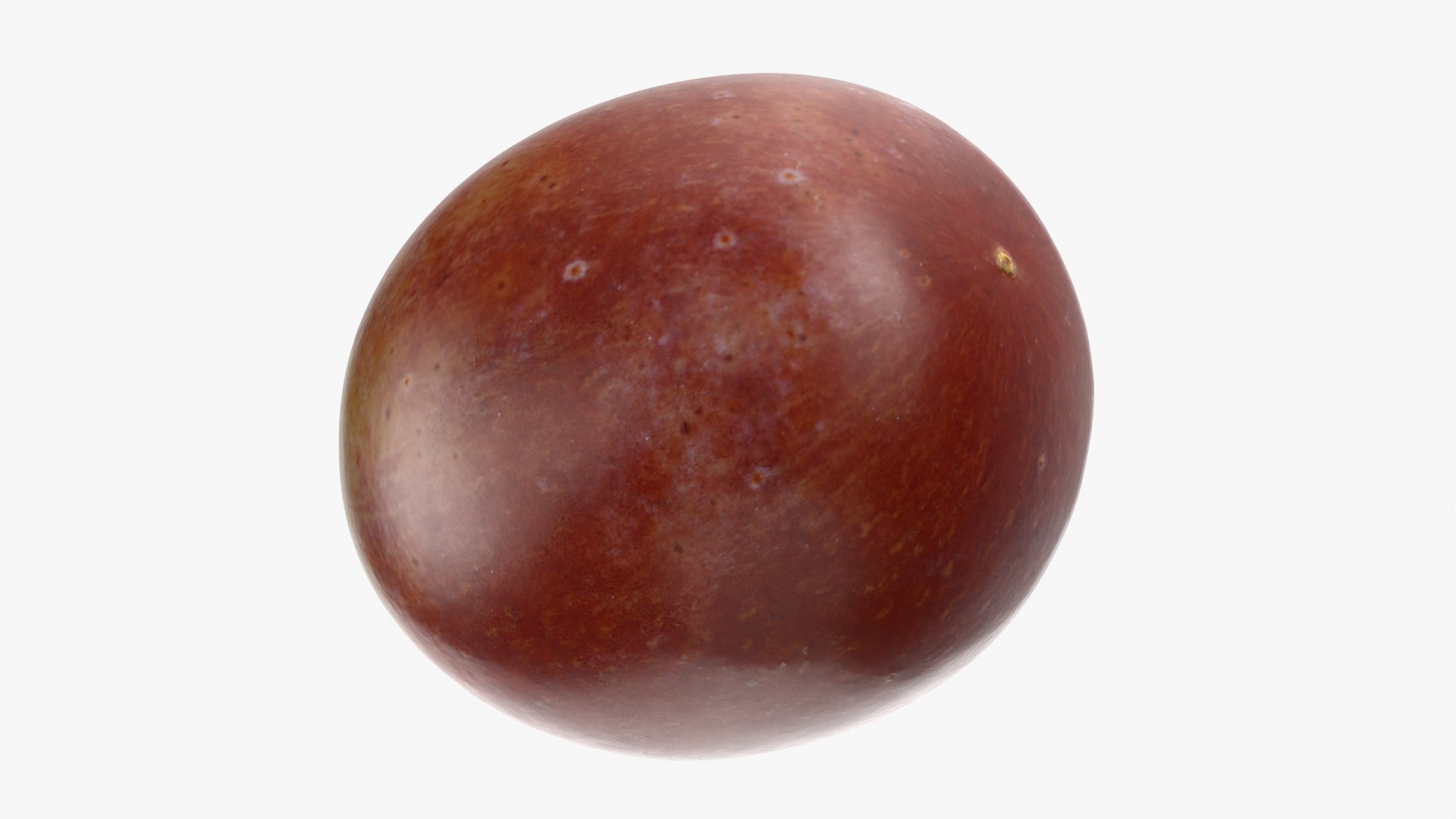 Grape Collection 2 model https://p.turbosquid.com/ts-thumb/2j/uS3sPN/AT/grape03_0003/png/1755778638/1920x1080/fit_q87/8e203aa2d27f62b300c935b03b7c301285e596b4/grape03_0003.jpg