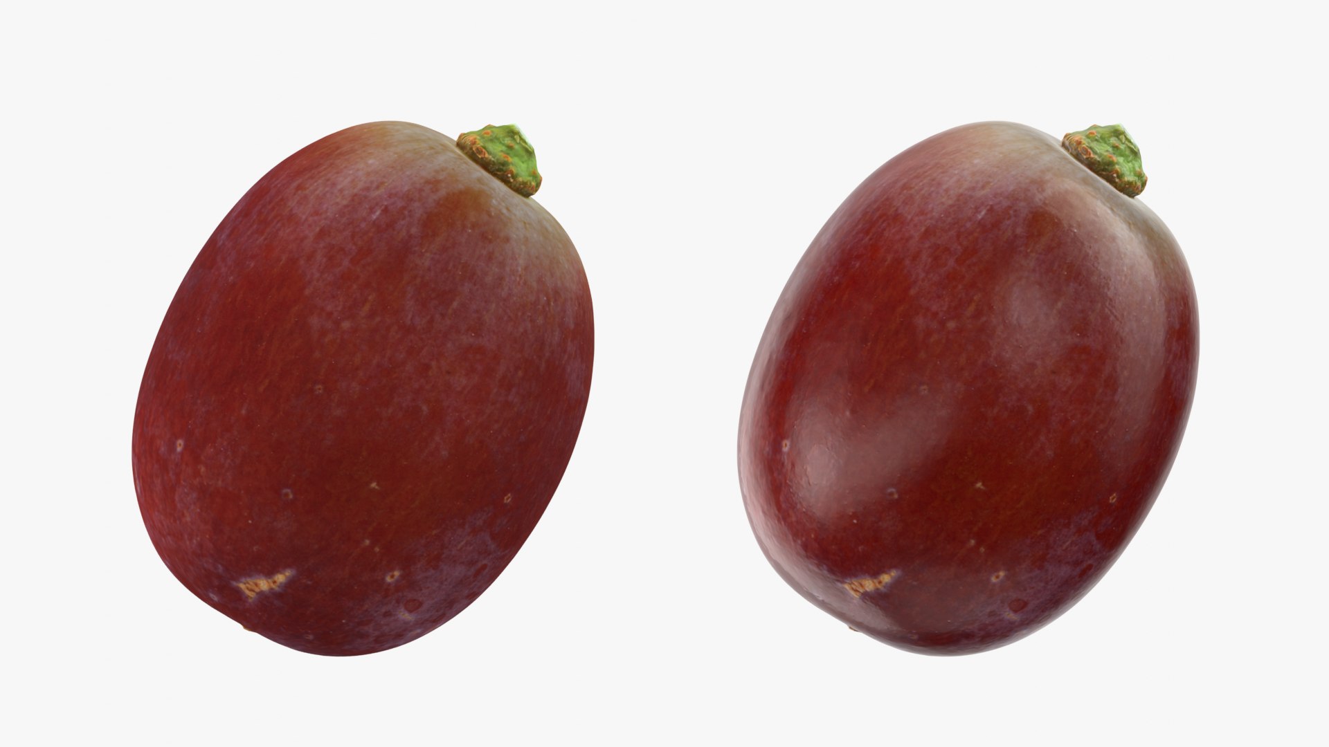 Grape Collection 2 model https://p.turbosquid.com/ts-thumb/2j/uS3sPN/Nf/grape01_0001b/png/1755778604/1920x1080/fit_q87/ca1e7e4246679d26cb92c94a3a3fa7b02116f9c0/grape01_0001b.jpg