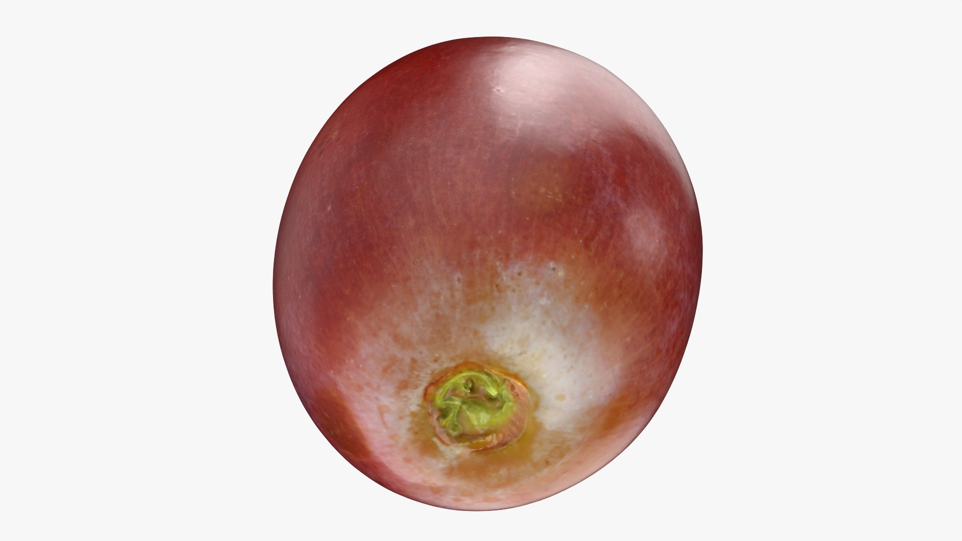 Grape Collection 2 model https://p.turbosquid.com/ts-thumb/2j/uS3sPN/rE/grape02_0004/png/1755778669/1920x1080/fit_q87/ec181b163cf707c83d13c0c1ffa547e3141fdd8a/grape02_0004.jpg