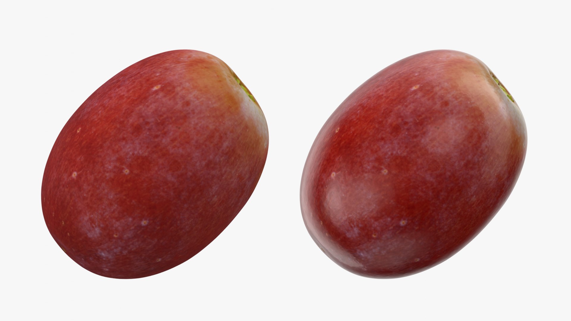 Grape Collection 2 model https://p.turbosquid.com/ts-thumb/2j/uS3sPN/w5/grape02_0001b/png/1755778668/1920x1080/fit_q87/8a4ea32f465ebe3997a5524bbe6875c873068a29/grape02_0001b.jpg