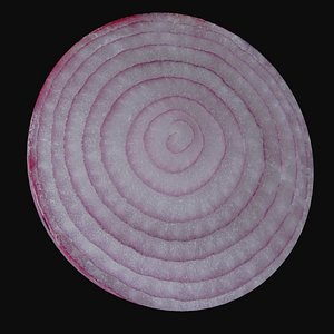 3D model Onion Slices