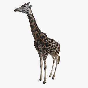 giraffe 3d model
