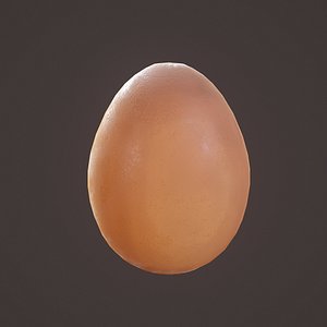 egg model