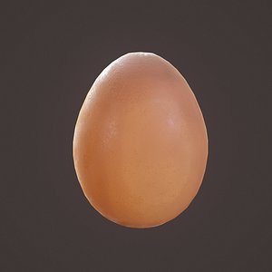 Brown Egg