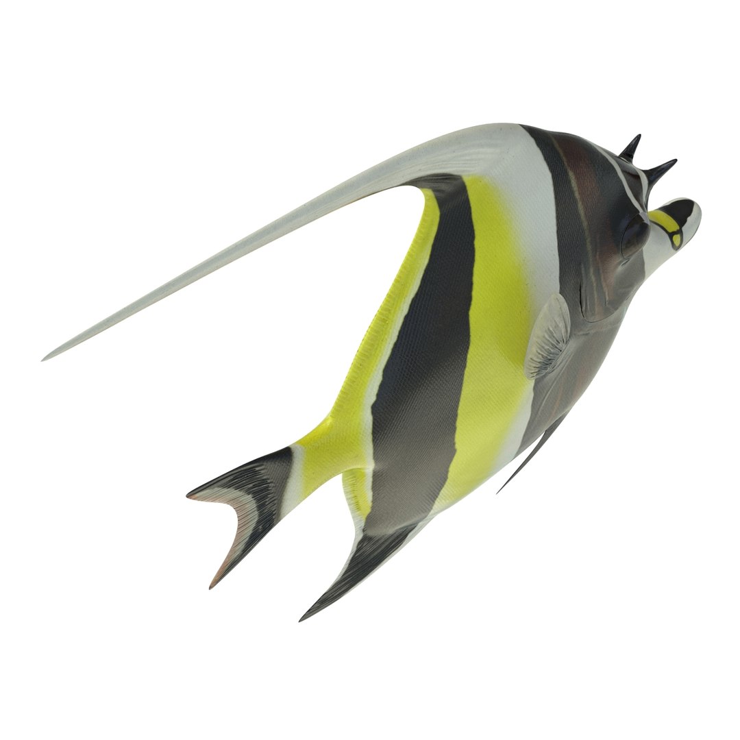 moorish idol fish 3d c4d https://p.turbosquid.com/ts-thumb/2k/KLcZ4C/4ru1HgoC/moorishidolfish3dmodel10/jpg/1461569307/1920x1080/fit_q87/f19ad0251ecb1bda558157b19e9191f12ece13fd/moorishidolfish3dmodel10.jpg