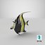 Moorish Idol Fish