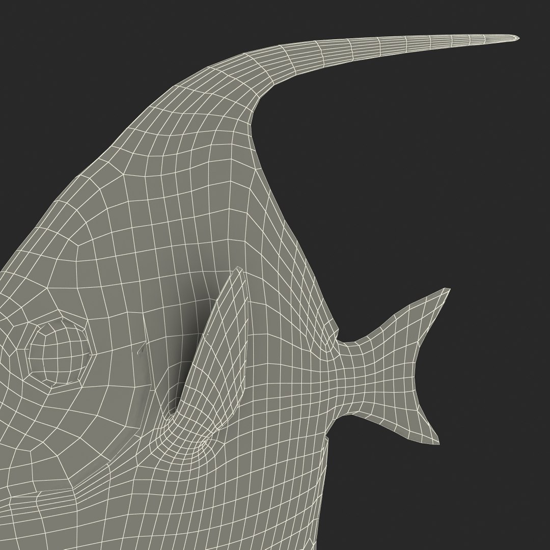 moorish idol fish 3d c4d https://p.turbosquid.com/ts-thumb/2k/KLcZ4C/9GYFwHsd/moorishidolfish3dmodel40/jpg/1461569309/1920x1080/fit_q87/c4cf8243b82acc8842f12f8bff3f1abb21a08861/moorishidolfish3dmodel40.jpg