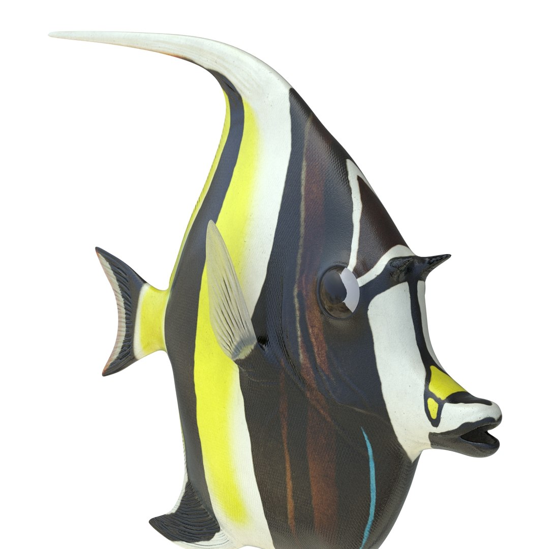moorish idol fish 3d c4d https://p.turbosquid.com/ts-thumb/2k/KLcZ4C/AqLiiCQP/moorishidolfish3dmodel20/jpg/1461569308/1920x1080/fit_q87/28b842a7164fa92f715fa4707aeac796112d2e9d/moorishidolfish3dmodel20.jpg