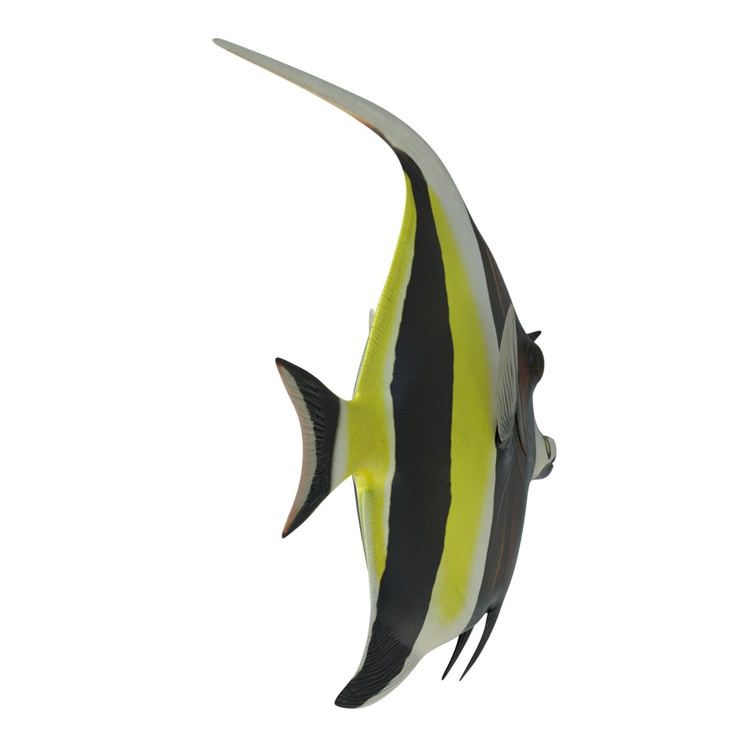 moorish idol fish 3d c4d https://p.turbosquid.com/ts-thumb/2k/KLcZ4C/BWAPb8Wj/moorishidolfish3dmodel12/jpg/1461569307/1920x1080/fit_q87/ff5ac62eca9ef8907fb0336b09ff5c39ea725a55/moorishidolfish3dmodel12.jpg