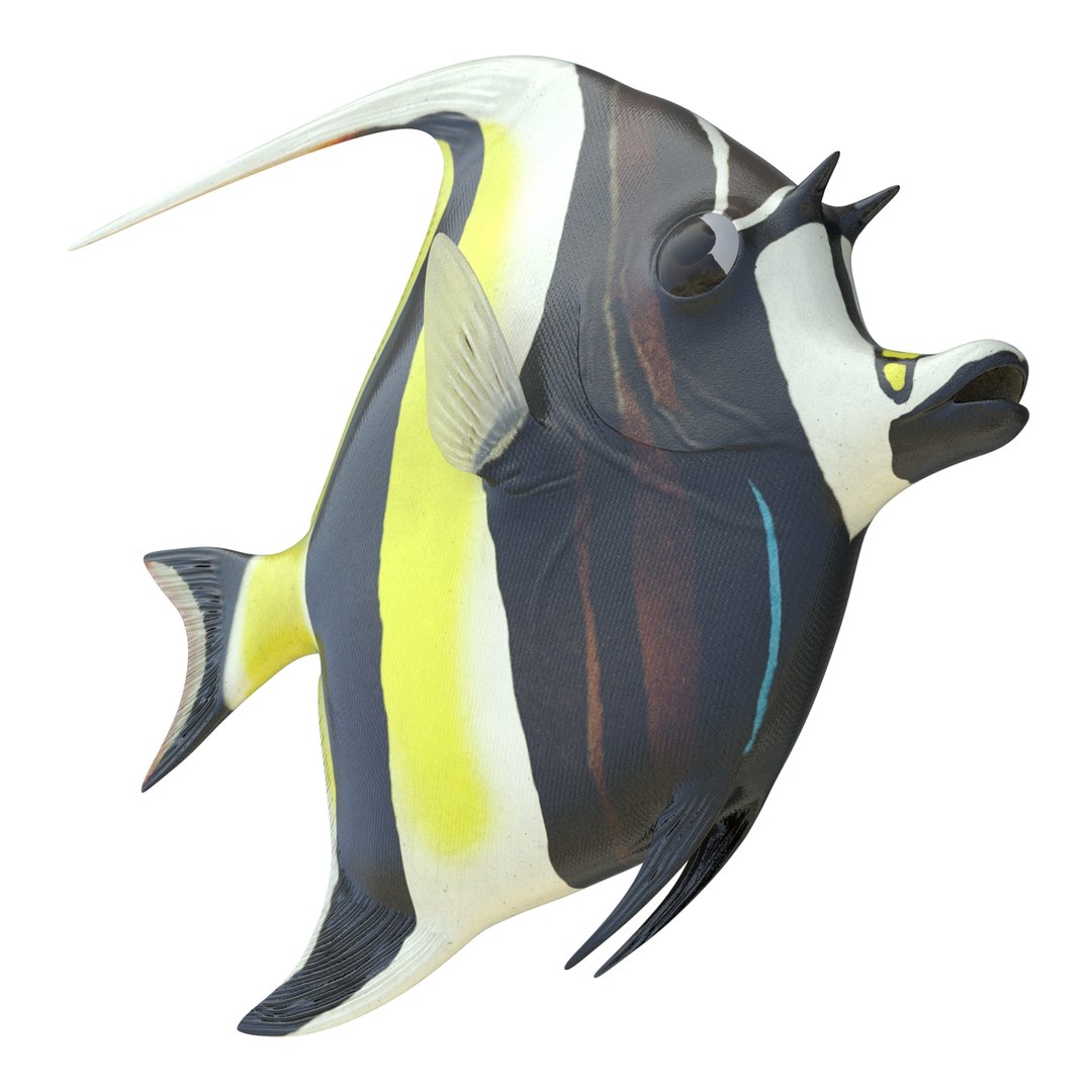 moorish idol fish 3d c4d https://p.turbosquid.com/ts-thumb/2k/KLcZ4C/GppwCAUx/moorishidolfish3dmodel14/jpg/1461569307/1920x1080/fit_q87/3e5cdd6635149d130a3c6b4da8318d4d61e387b6/moorishidolfish3dmodel14.jpg