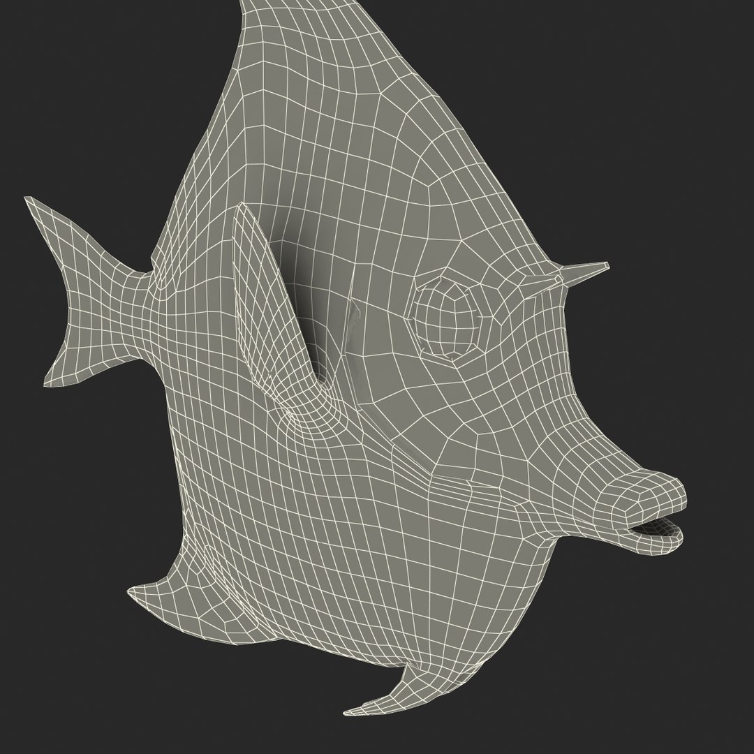 moorish idol fish 3d c4d https://p.turbosquid.com/ts-thumb/2k/KLcZ4C/HNgNmiNG/moorishidolfish3dmodel38/jpg/1461569309/1920x1080/fit_q87/5ac93a1af89eeb5c0cd970fb2aef5179087a34c7/moorishidolfish3dmodel38.jpg