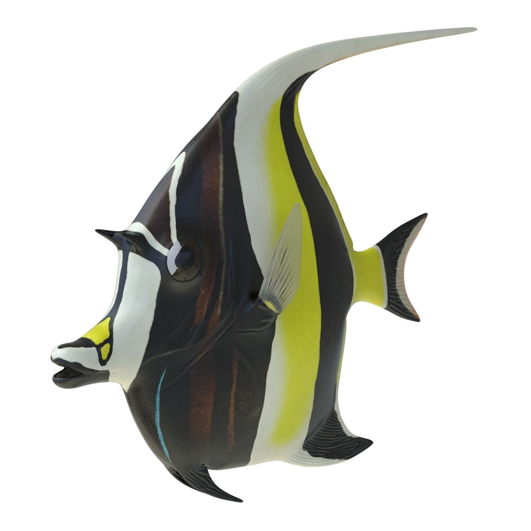 moorish idol fish 3d c4d https://p.turbosquid.com/ts-thumb/2k/KLcZ4C/KDcWWsdq/moorishidolfish3dmodel04/jpg/1461569307/1920x1080/fit_q87/a05d659e422290219705380b44c9ec72b9338345/moorishidolfish3dmodel04.jpg